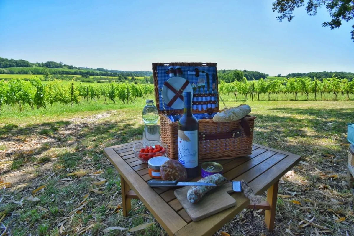 Pique-nique dans les vignes du Périgord